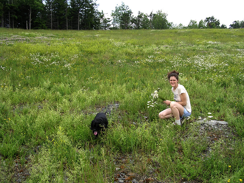 Lindsay in a field picking flowers with her dog, Beau