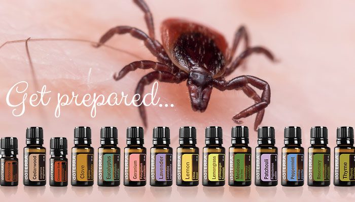 Essential Oils For Insect Repellents
