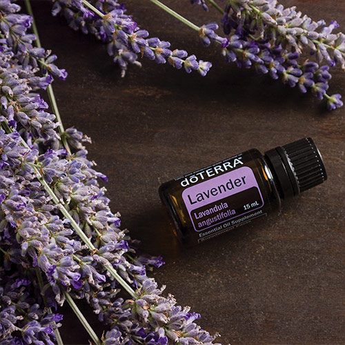 Lavender oil bottle laying next to fresh lavender