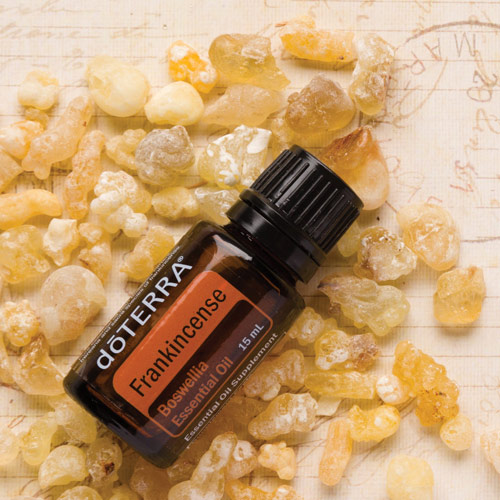 Frankincense essential oil bottle laying over frankincense resin